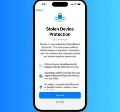 桂东苹果授权维修店分享被盗设备保护功能开启方法 