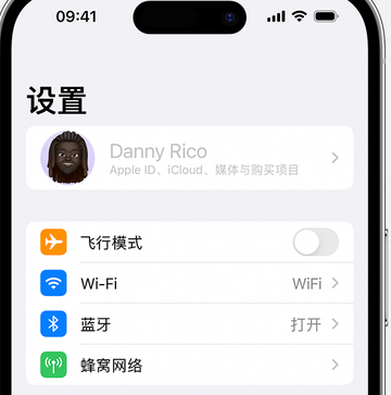 桂东appleID维修服务iPhone设置中Apple ID显示为灰色无法使用 