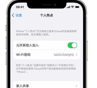 桂东apple服务站点分享iPhone上个人热点丢失了怎么办