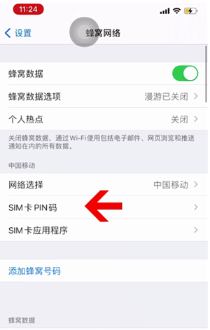 桂东苹果14维修网分享如何给iPhone14的SIM卡设置密码 