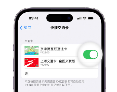 桂东apple维修点分享iPhone上更换Apple Pay快捷交通卡手绘卡面 