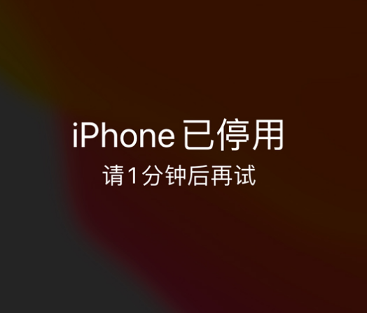 桂东苹果手机维修分享:iPhone 显示“不可用”或“已停用”怎么办？还能保留数据吗？ 