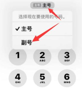 桂东苹果14维修店分享iPhone 14 Pro Max使用副卡打电话的方法 