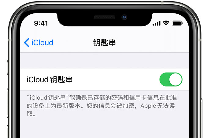 桂东苹果手机维修分享在 iPhone 上开启 iCloud 钥匙串之后会储存哪些信息 