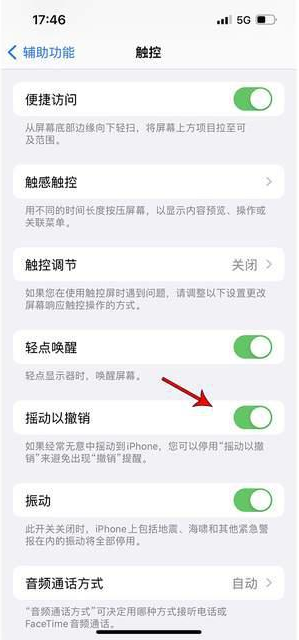 桂东苹果手机维修分享iPhone手机如何设置摇一摇删除文字 