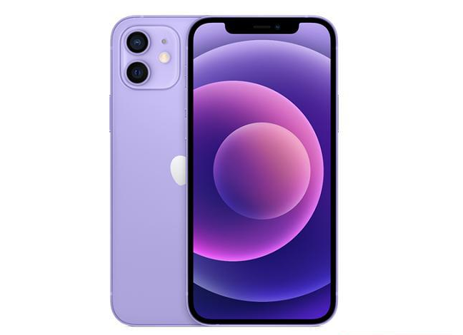 桂东苹果手机维修分享现阶段要不要入手紫色版iPhone12 